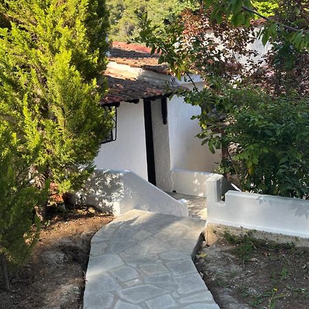 Willa Sani Garden House Zewnętrze zdjęcie