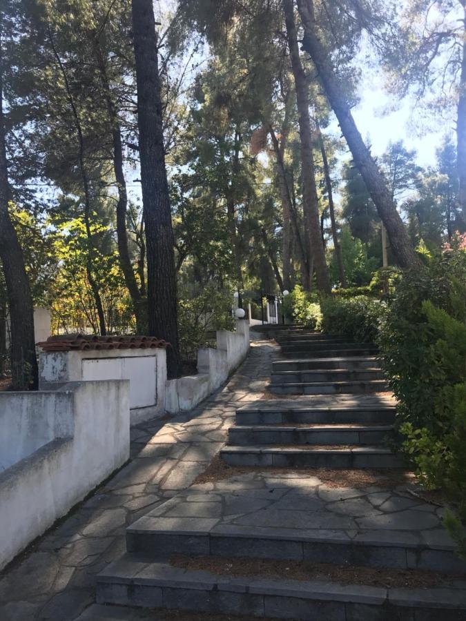 Willa Sani Garden House Zewnętrze zdjęcie